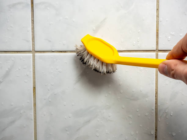Best Post-Remediation Services in Sesser, IL