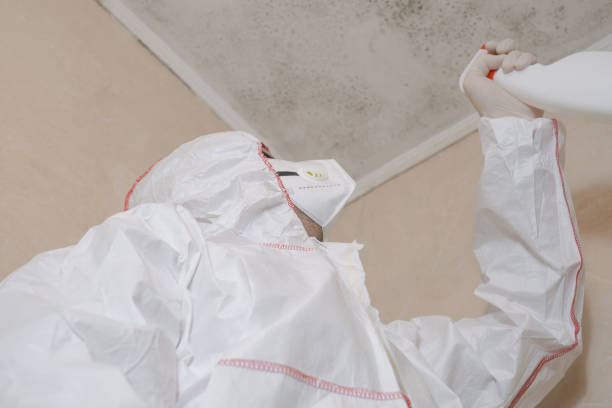 Best Industrial Mold Remediation in Sesser, IL